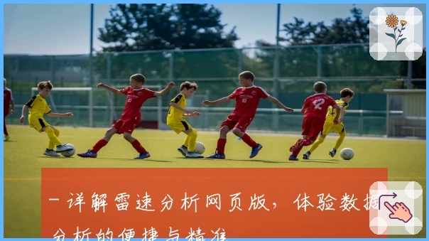 - 详解雷速分析网页版，体验数据分析的便捷与精准