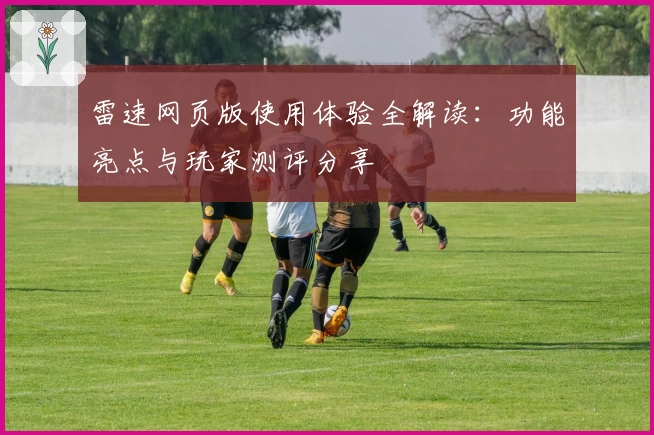 雷速网页版使用体验全解读：功能亮点与玩家测评分享